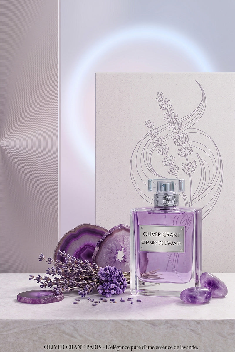 Lavender fields