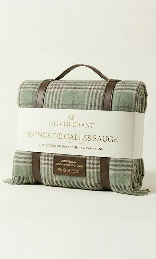 Plaid Prince de galles